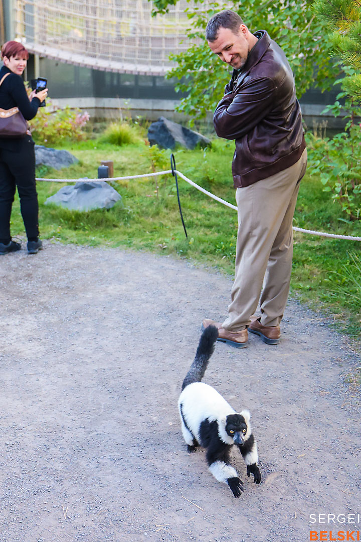 calgary zoo event photographer sergei belski photo