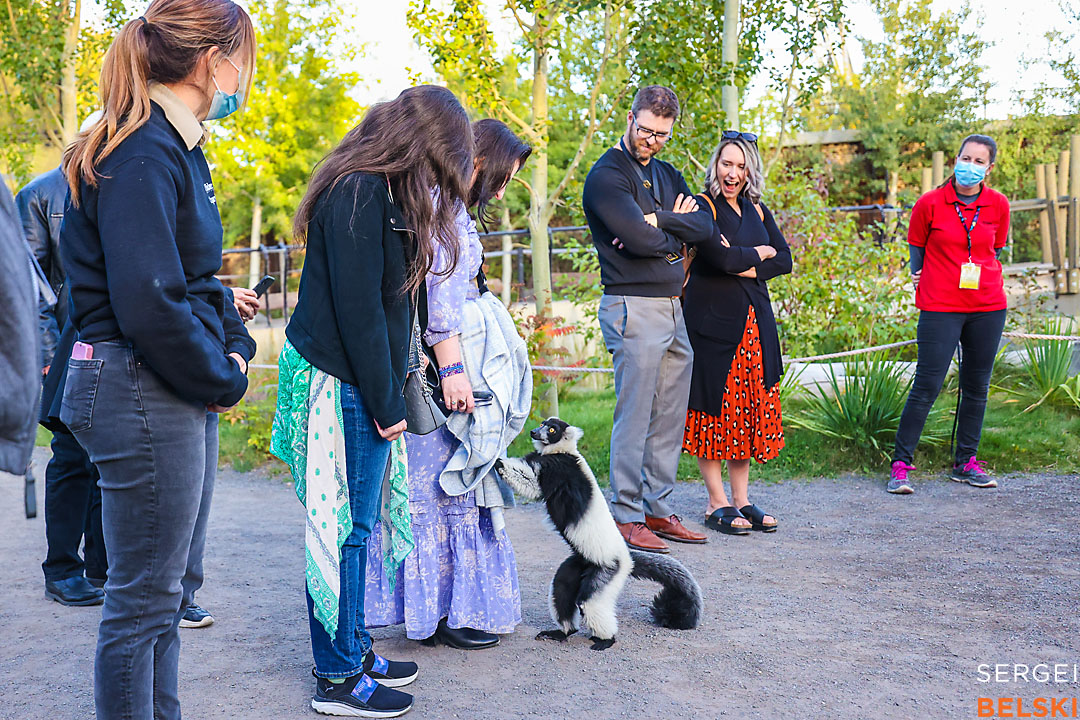 calgary zoo event photographer sergei belski photo