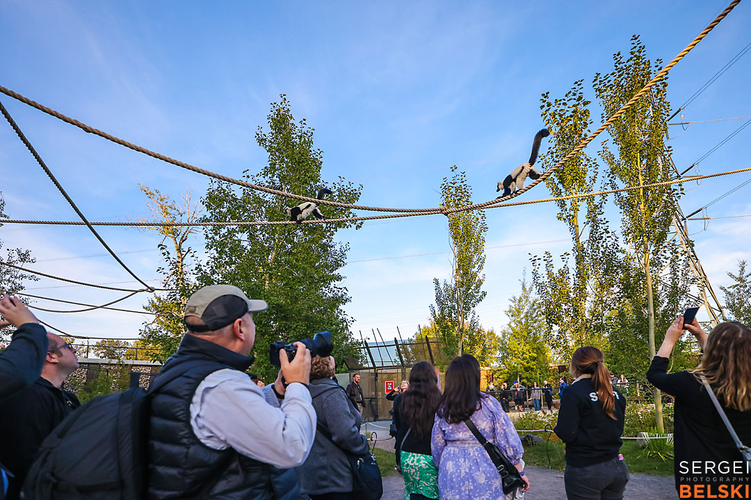 calgary zoo event photographer sergei belski photo