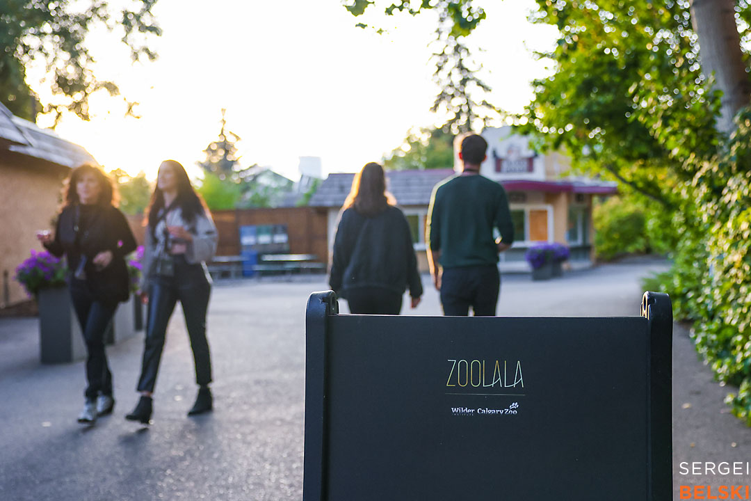 calgary zoo event photographer sergei belski photo