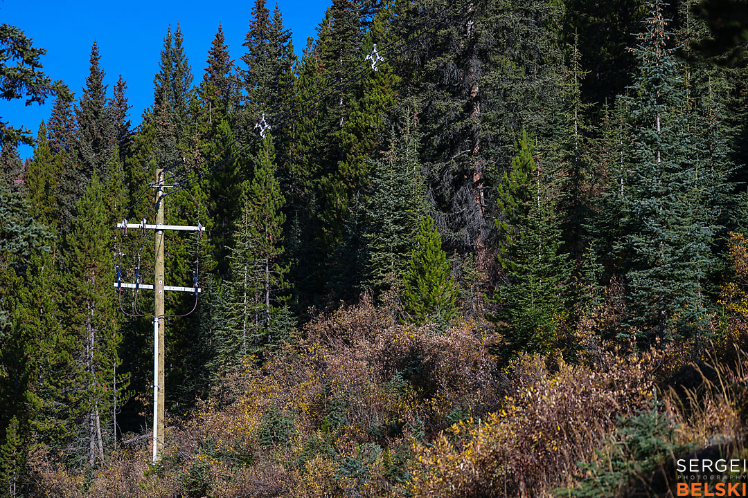 fortis alberta commercial calgary photographer sergei belski photo