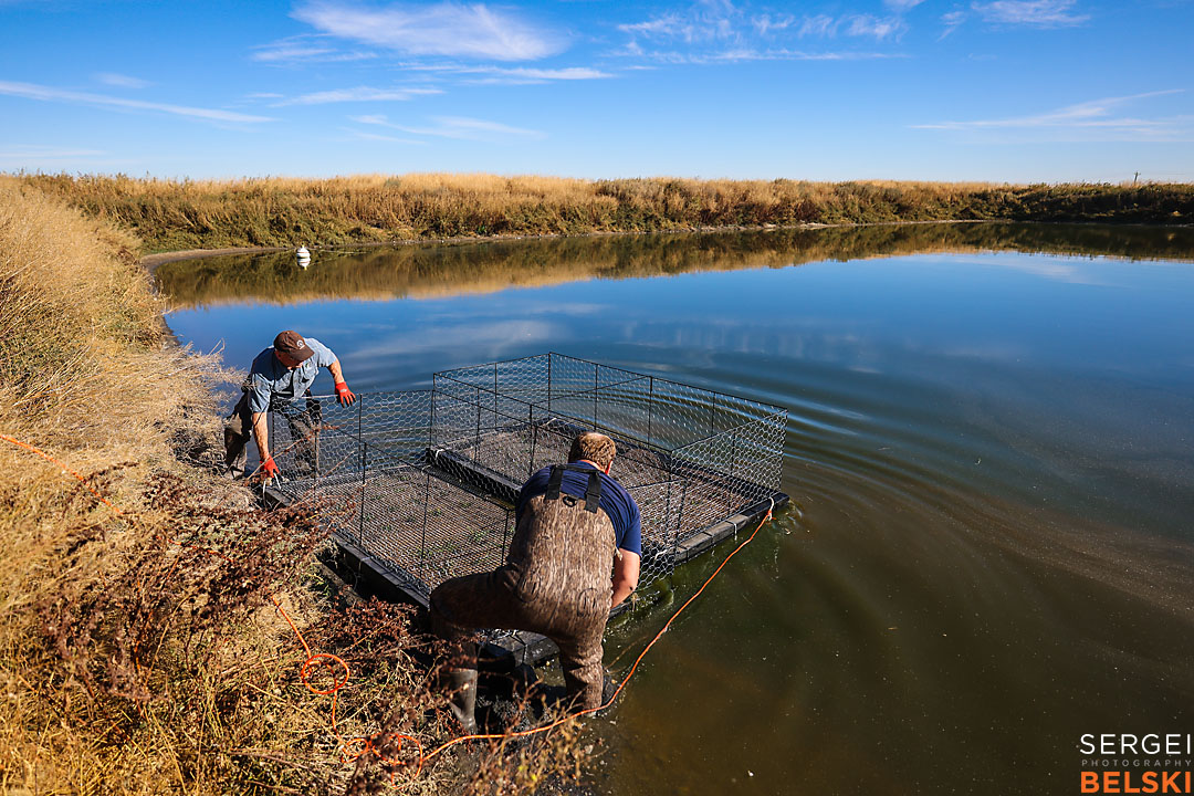 olds college calgary commercial photographer sergei belski photo