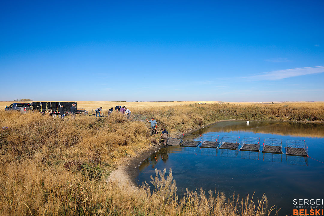 olds college calgary commercial photographer sergei belski photo