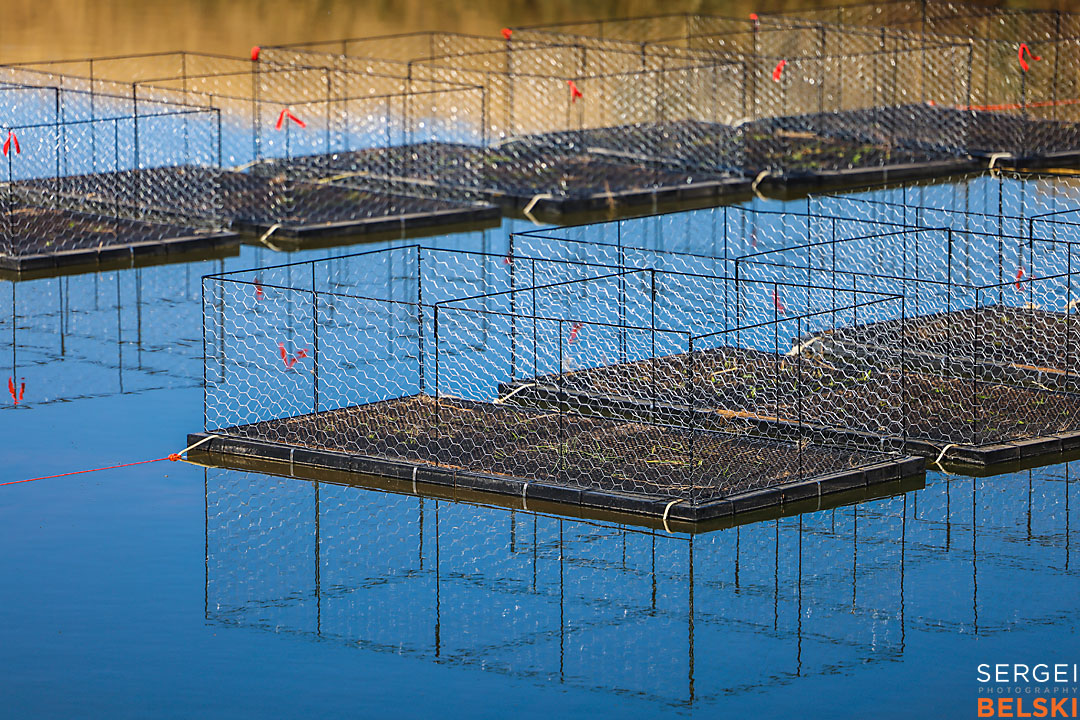 olds college calgary commercial photographer sergei belski photo