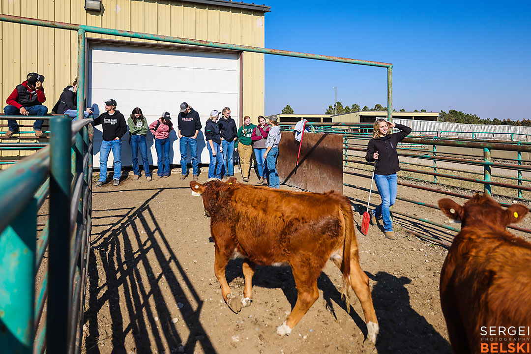 olds college calgary commercial photographer sergei belski photo