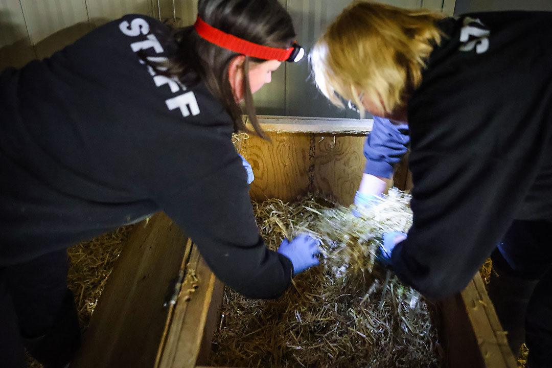 calgary zoo wildlife photographer sergei belski photo
