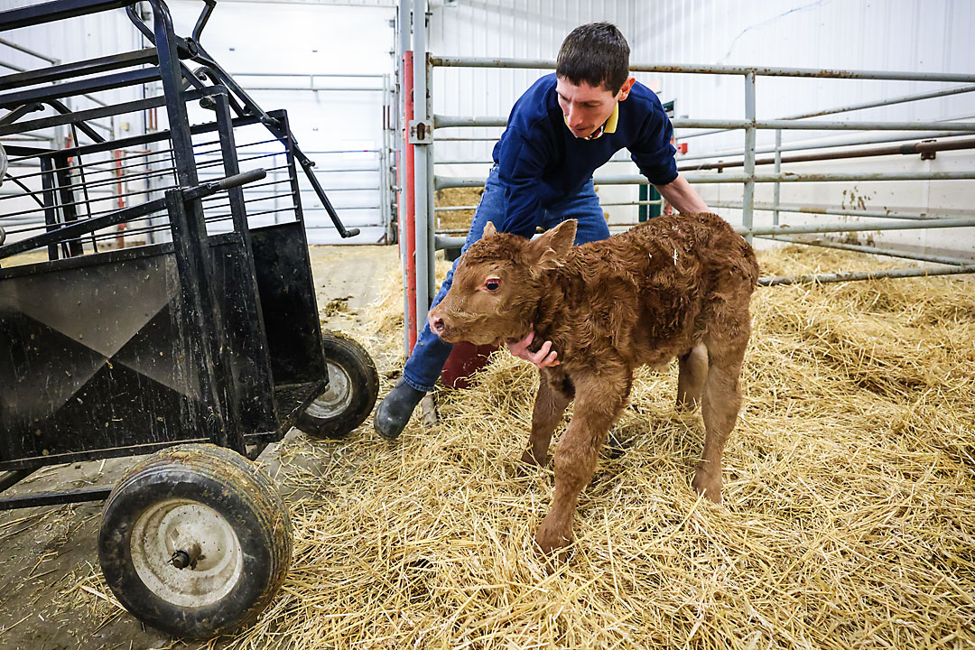olds college calgary commercial photographer sergei belski photo