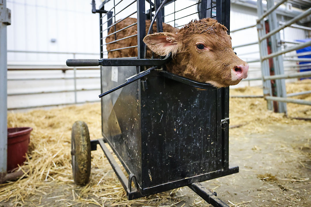 olds college calgary commercial photographer sergei belski photo