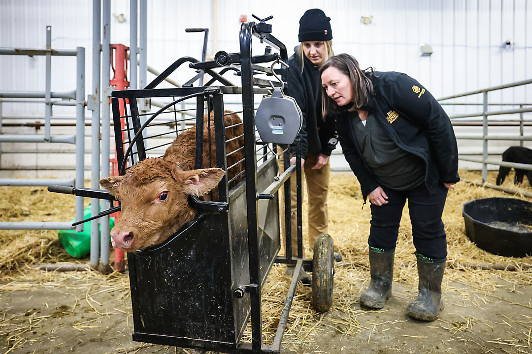 olds college calgary commercial photographer sergei belski photo