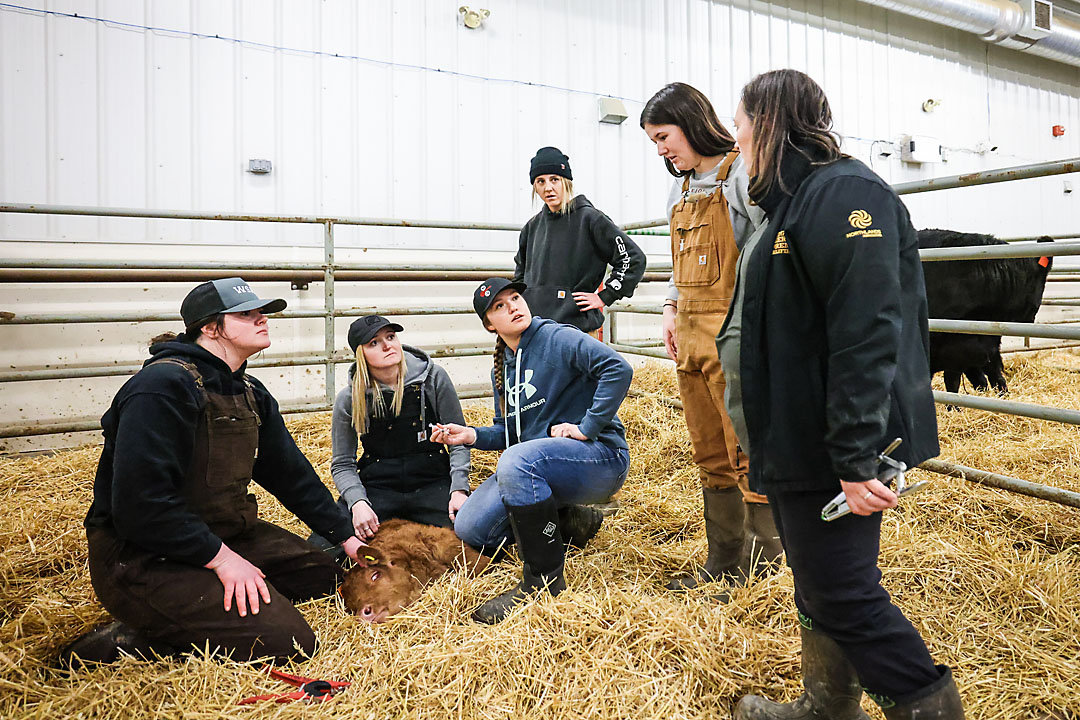olds college calgary commercial photographer sergei belski photo