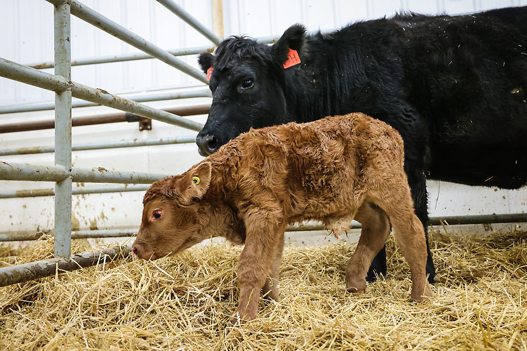 olds college calgary commercial photographer sergei belski photo