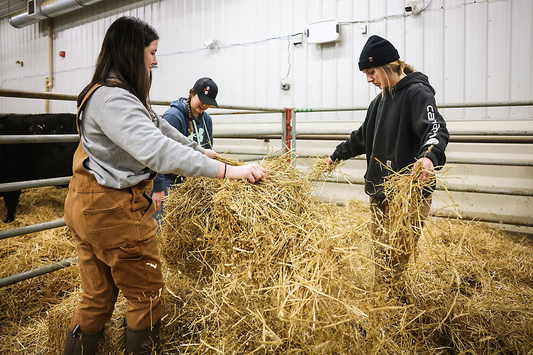 olds college calgary commercial photographer sergei belski photo