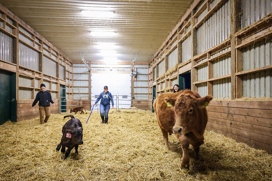 olds college calgary commercial photographer sergei belski photo