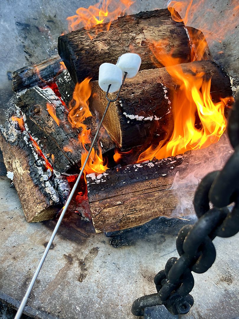 kananaskies wildlife photographer sergei belski photo