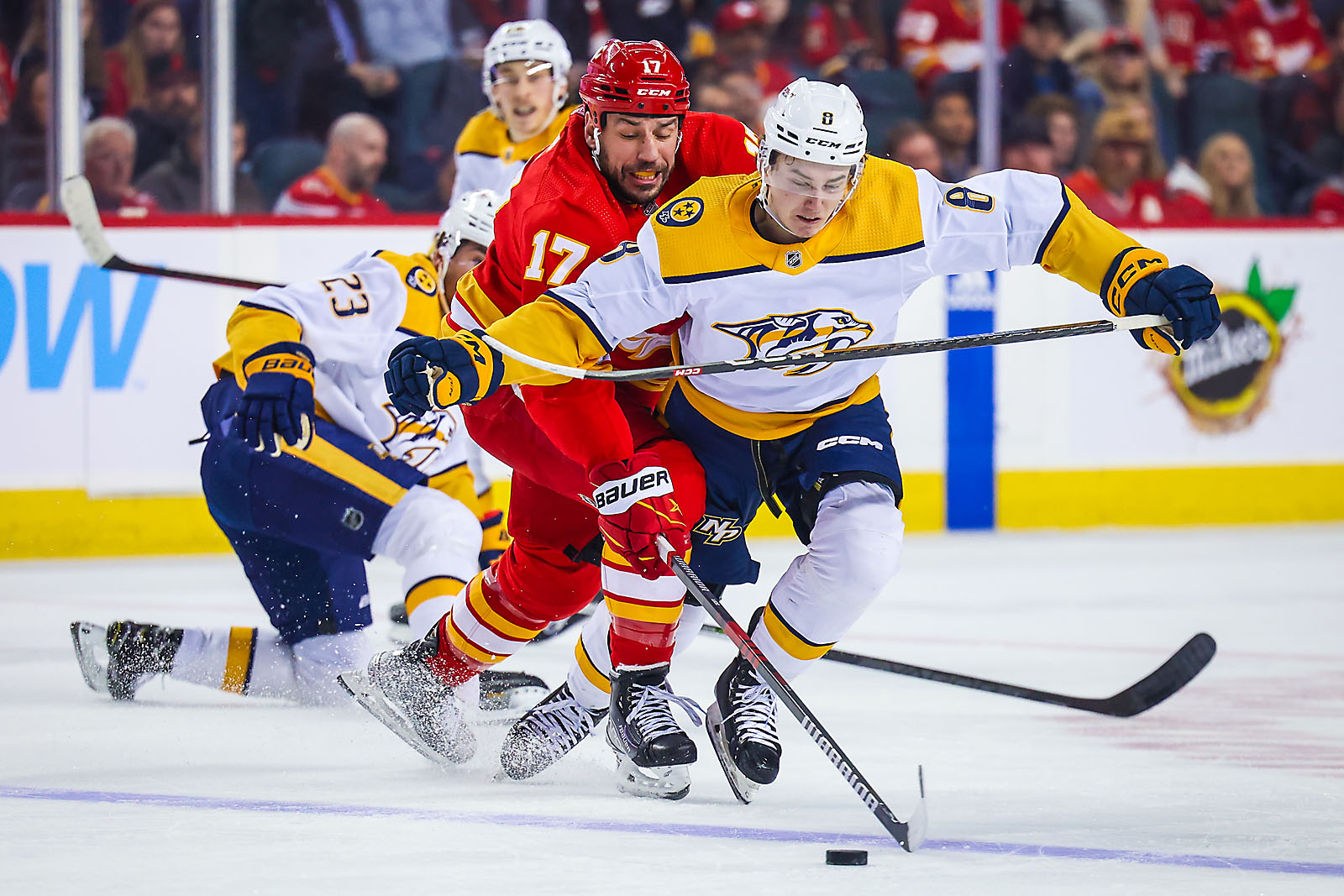 nhl hockey Calgary Flames sports photographer sergei belski photo