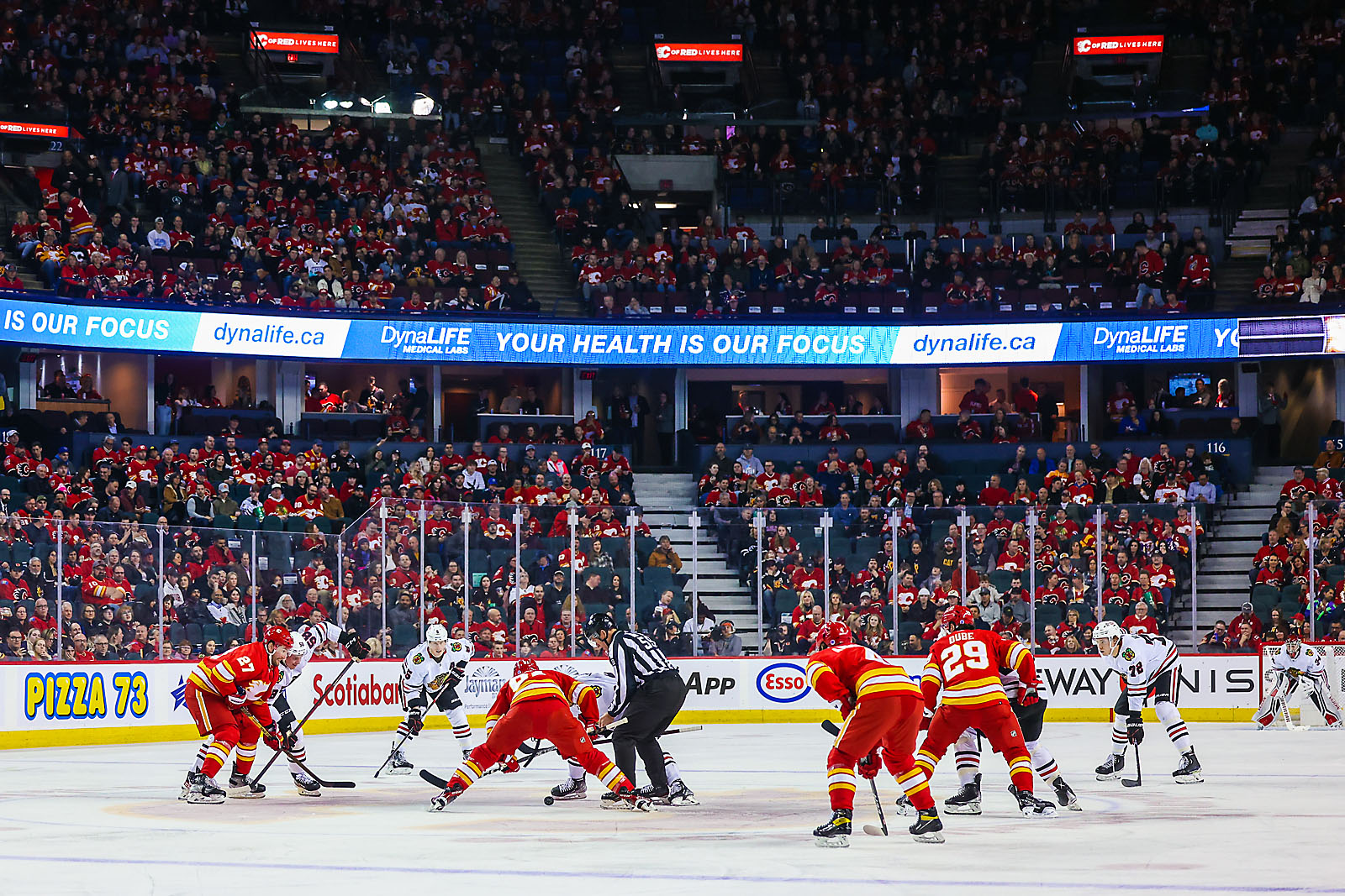nhl hockey Calgary Flames sports photographer sergei belski photo