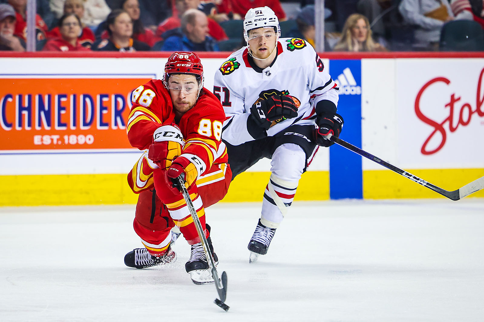 nhl hockey Calgary Flames sports photographer sergei belski photo
