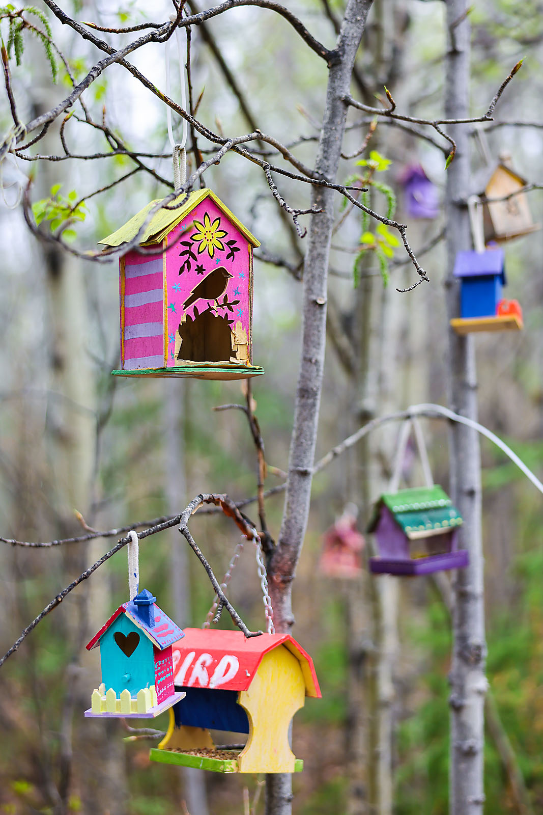 calgary family photographer sergei belski photo