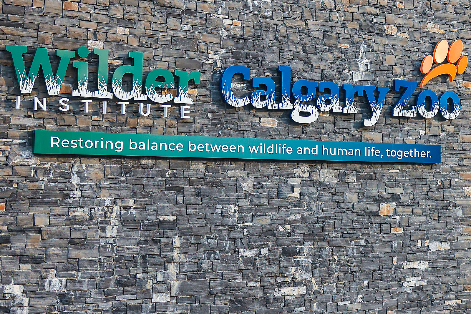 calgary zoo event photographer sergei belski photo