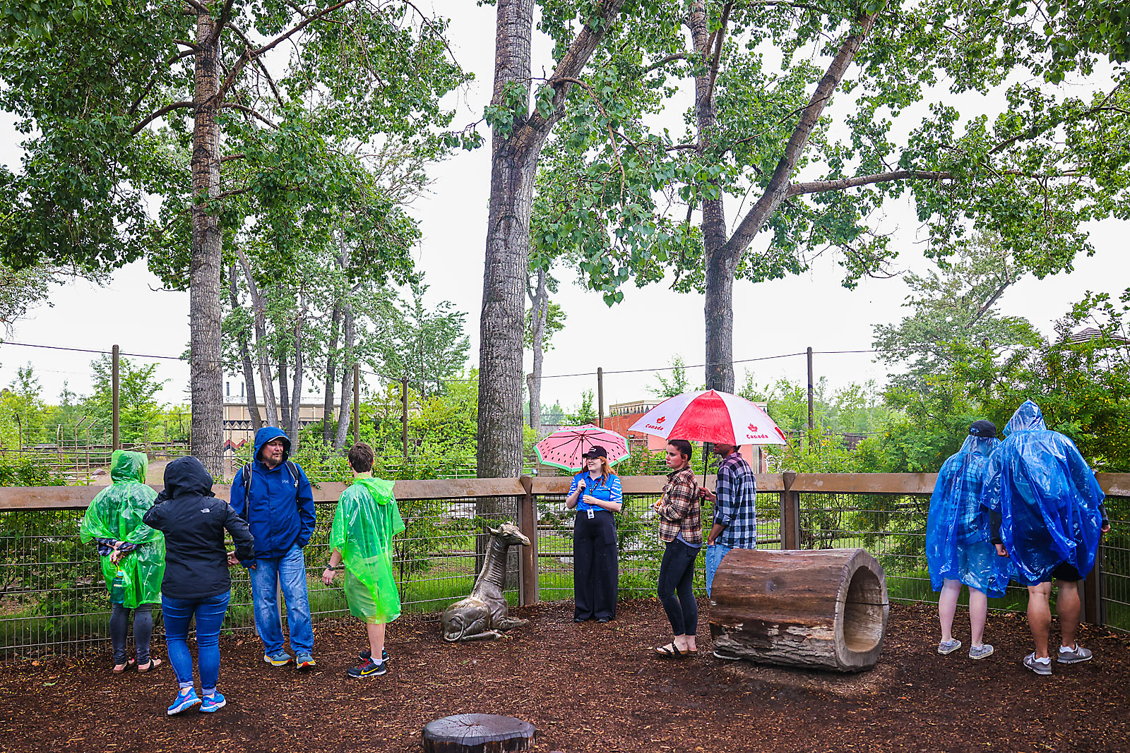 calgary zoo event photographer sergei belski photo