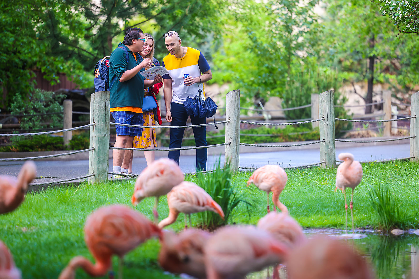 calgary zoo event photographer sergei belski photo