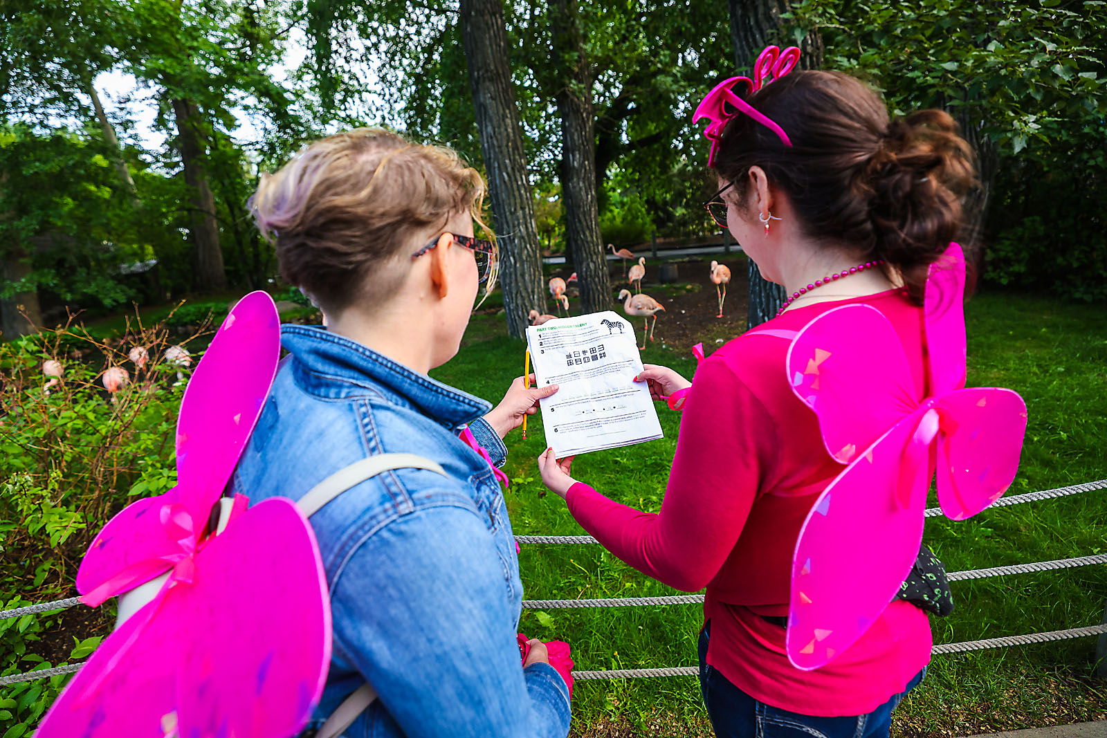 calgary zoo event photographer sergei belski photo
