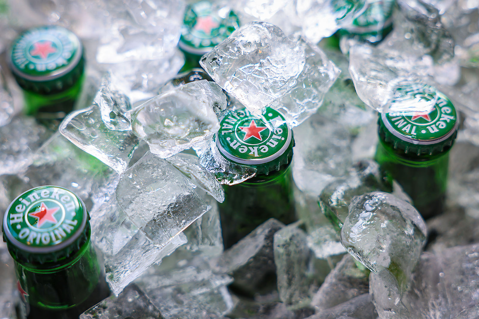 fortis Alberta calgary commercial event photographer sergei belski photo