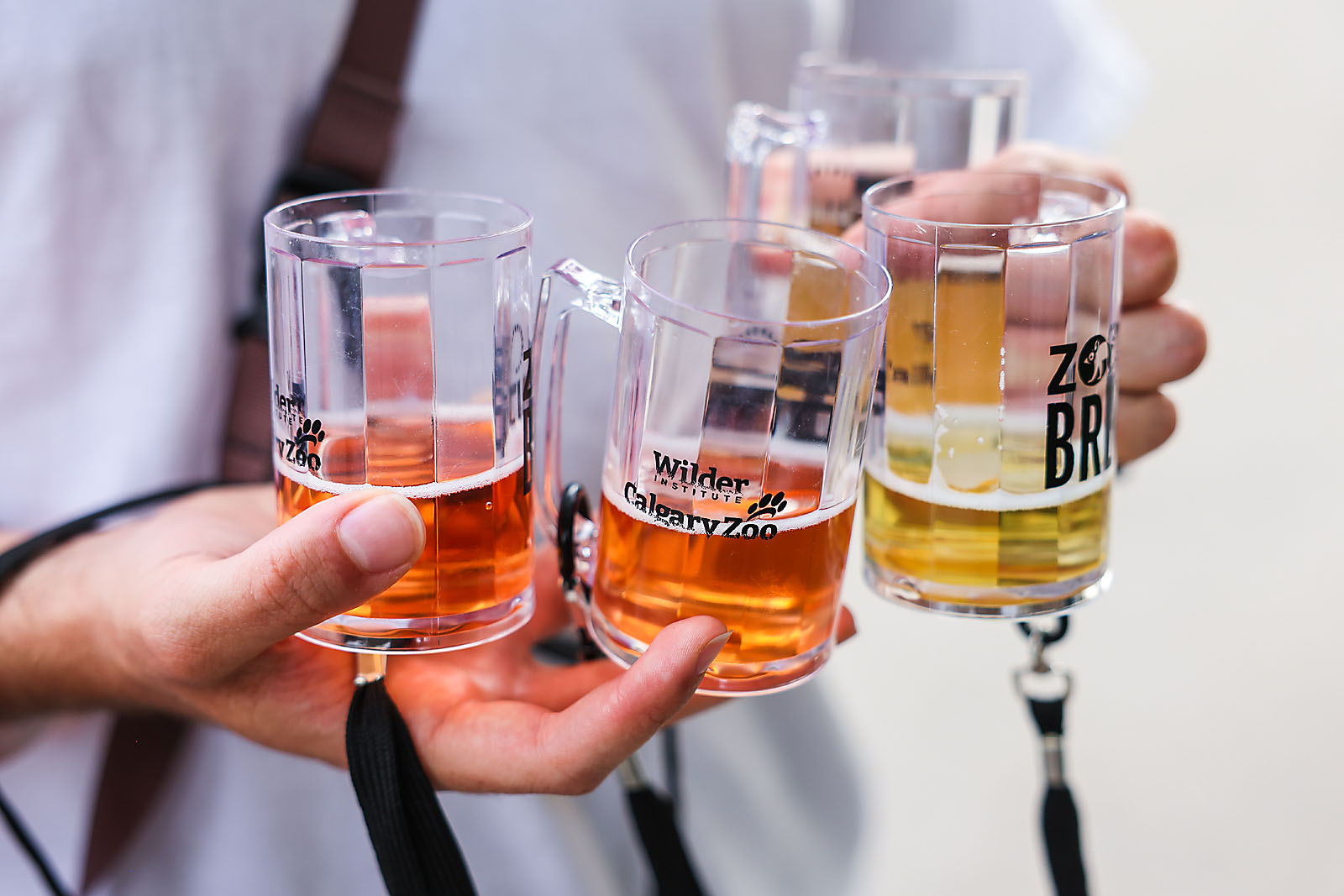 calgary zoo event photographer sergei belski photo