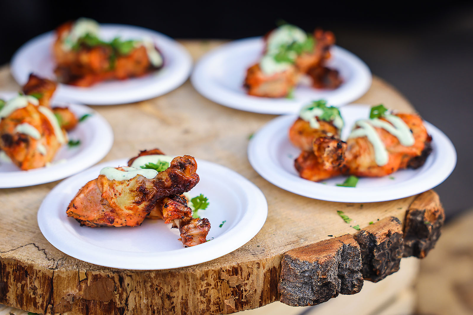 calgary zoo event photographer sergei belski photo