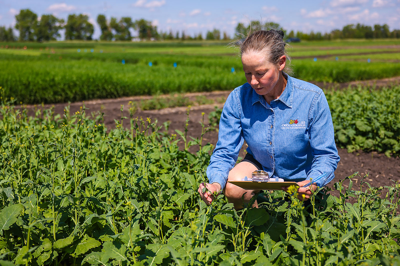 olds college calgary commercial photographer sergei belski photo