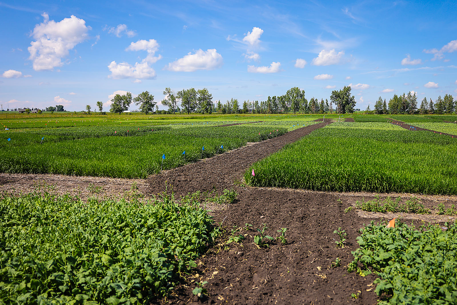 olds college calgary commercial photographer sergei belski photo