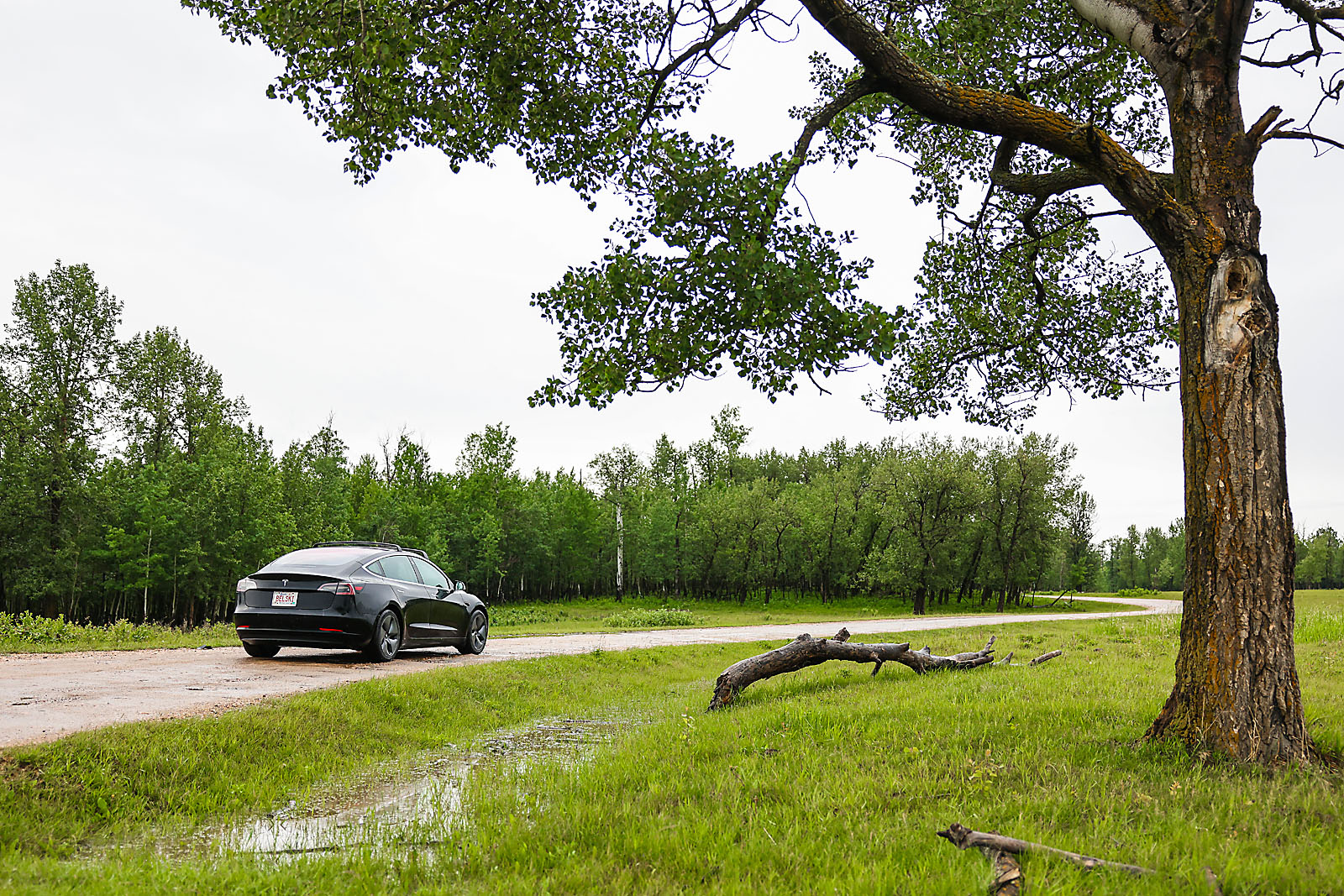 wildlife travel photographer sergei belski photo