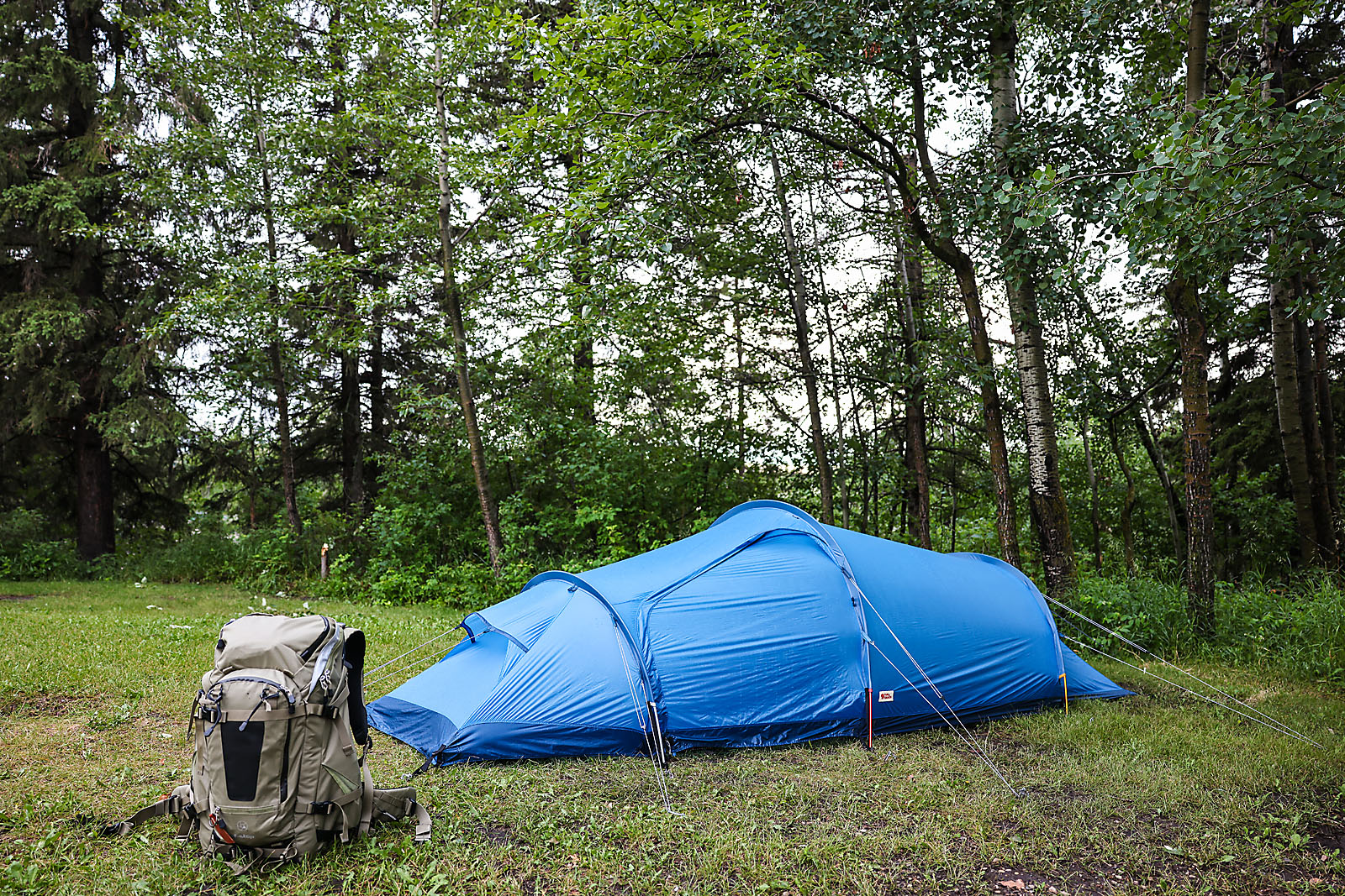wildlife travel photographer sergei belski photo