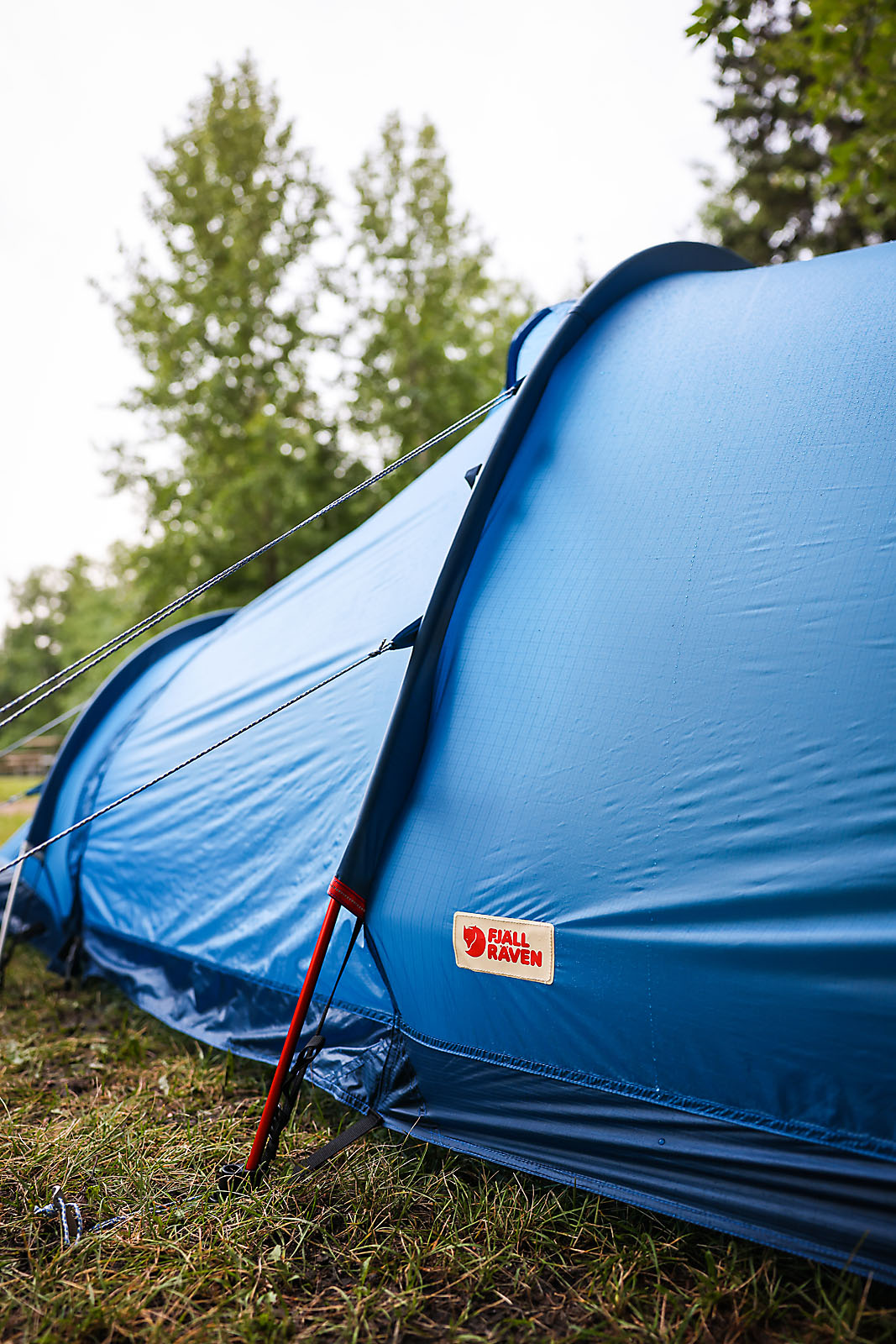 wildlife travel photographer sergei belski photo