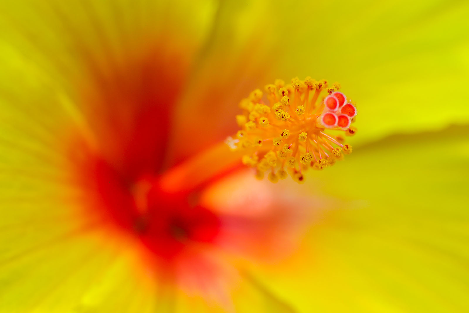 calgary zoo wildlife photographer sergei belski photo