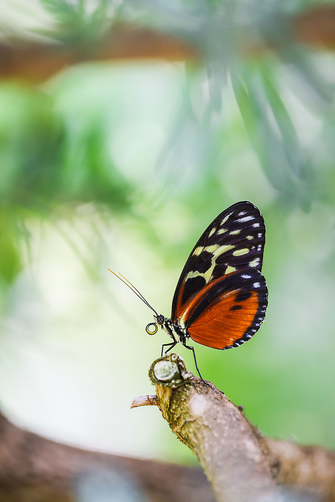 calgary zoo wildlife photographer sergei belski photo