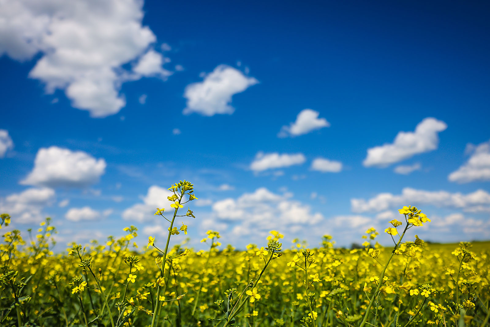 saskatchewan travel photographer sergei belski photo