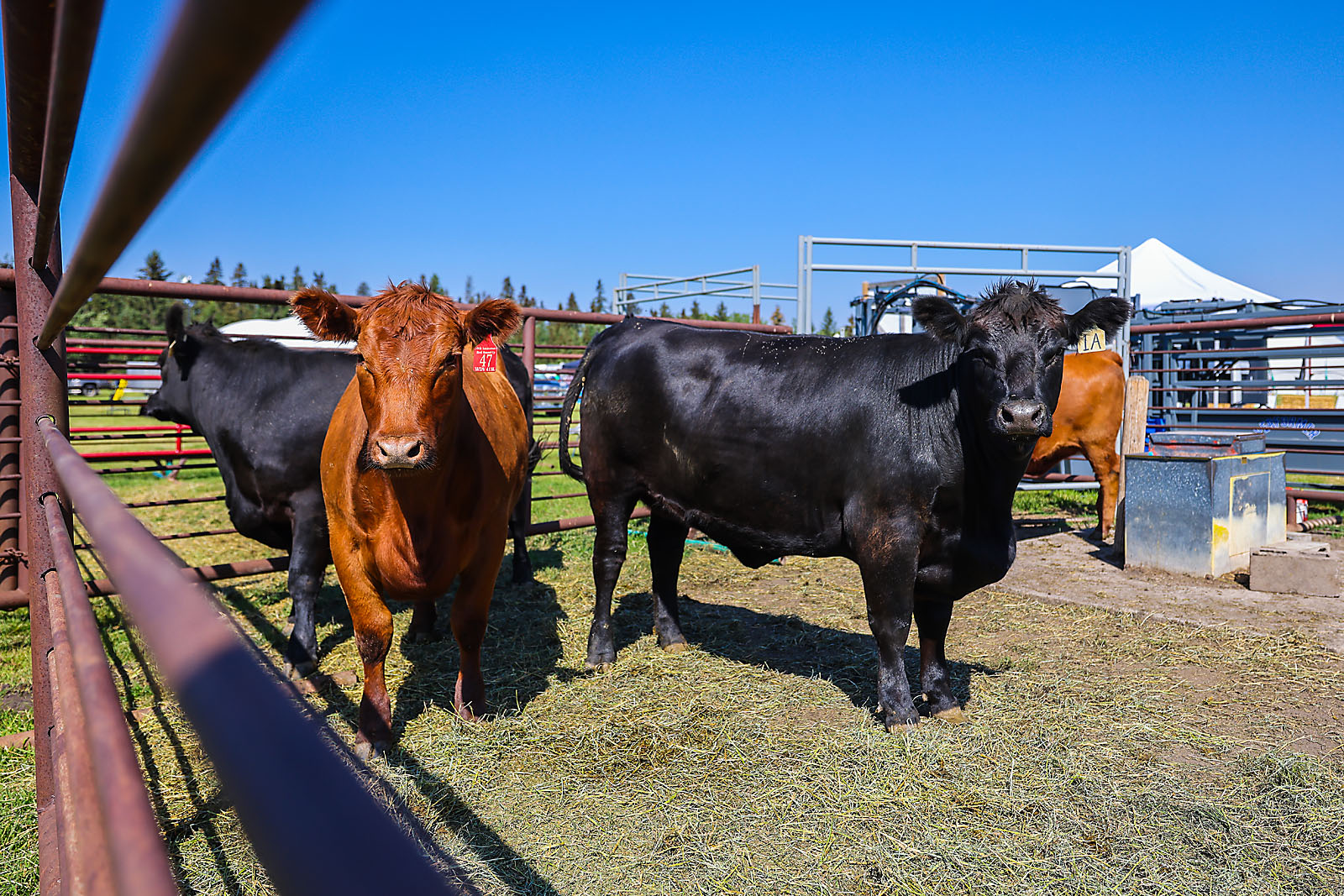 agsmart olds college event photographer sergei belski photo