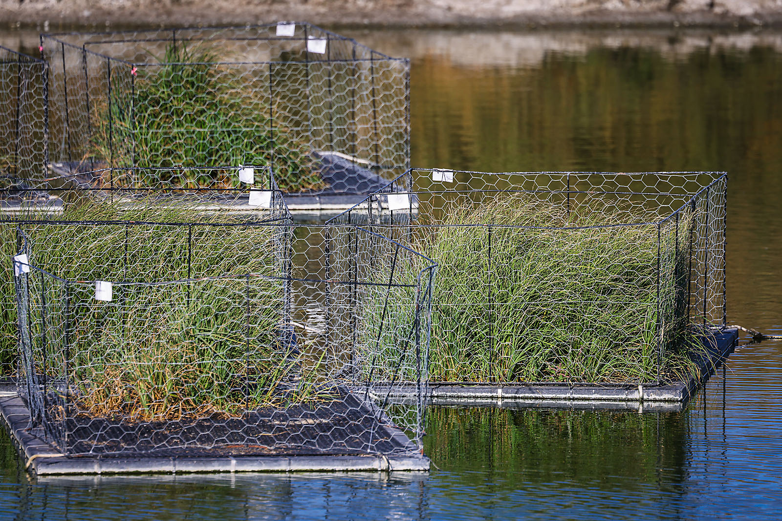olds college commercial calgary photographer sergei belski photo