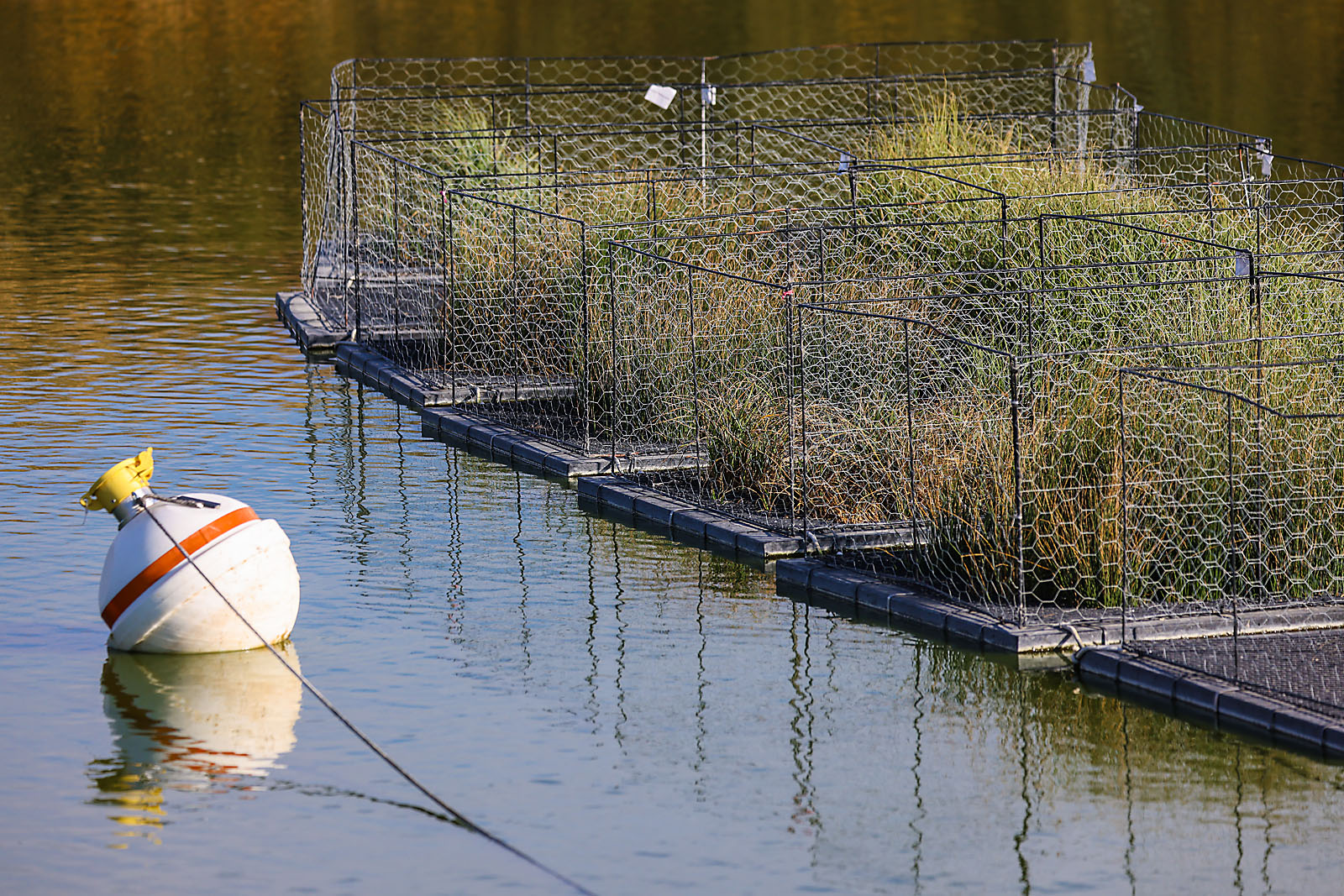olds college commercial calgary photographer sergei belski photo