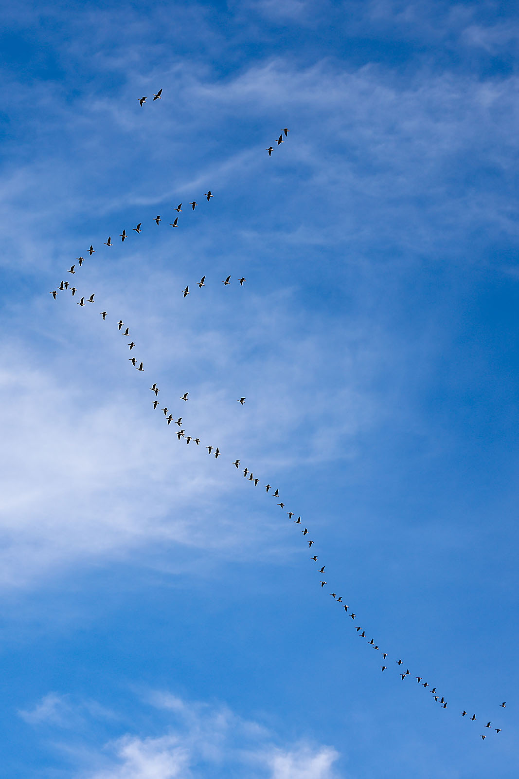 olds college commercial calgary photographer sergei belski photo