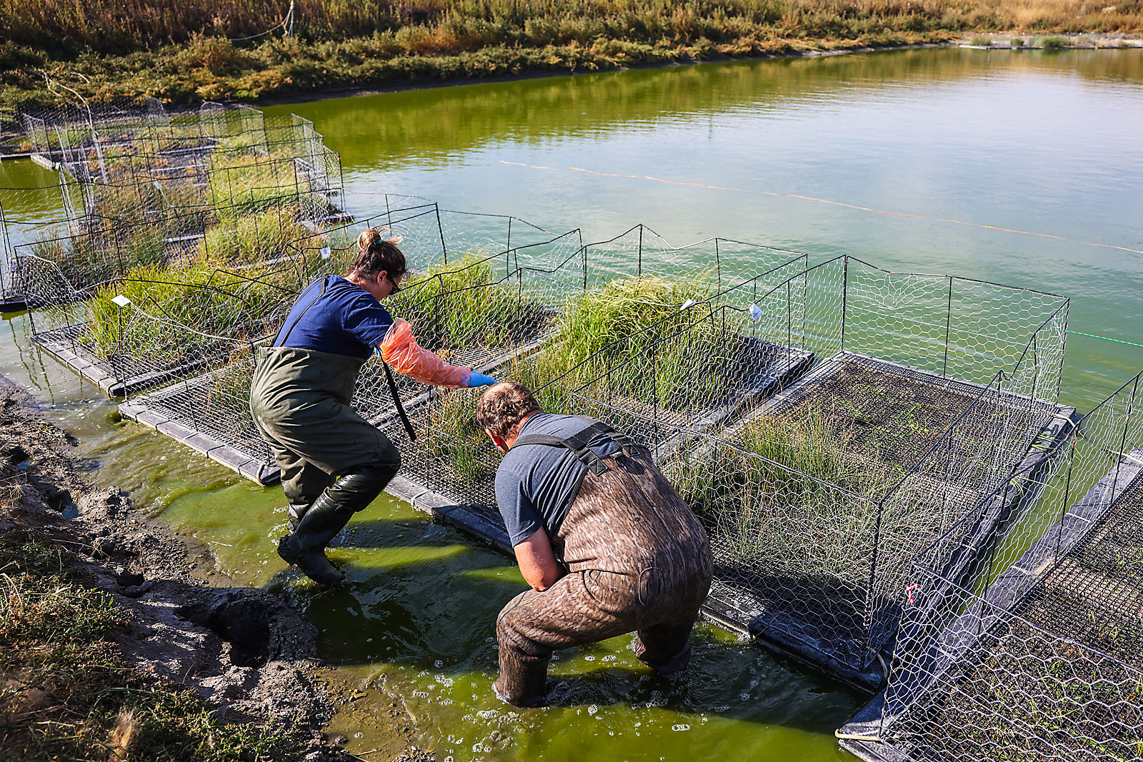 olds college commercial calgary photographer sergei belski photo
