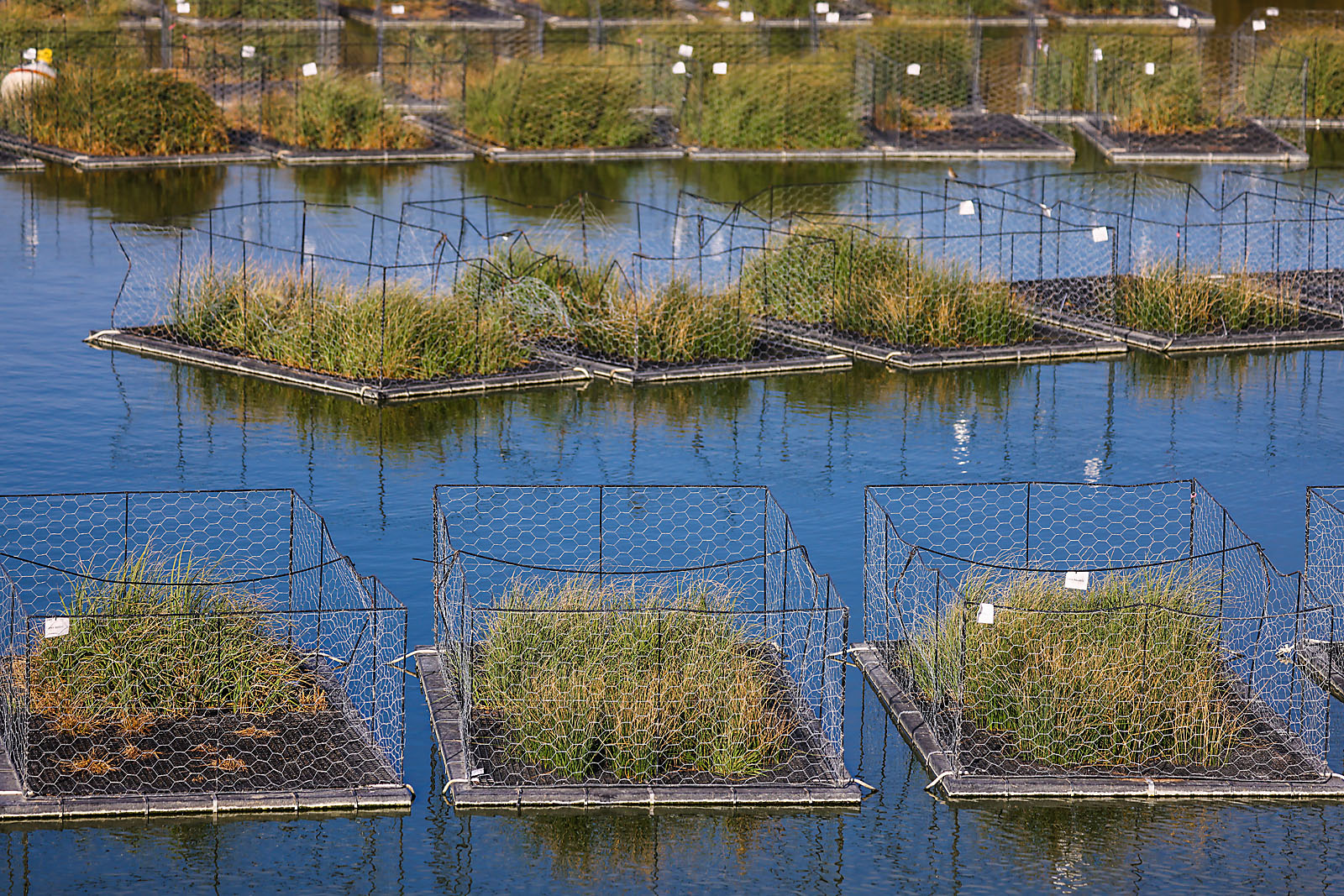 olds college commercial calgary photographer sergei belski photo