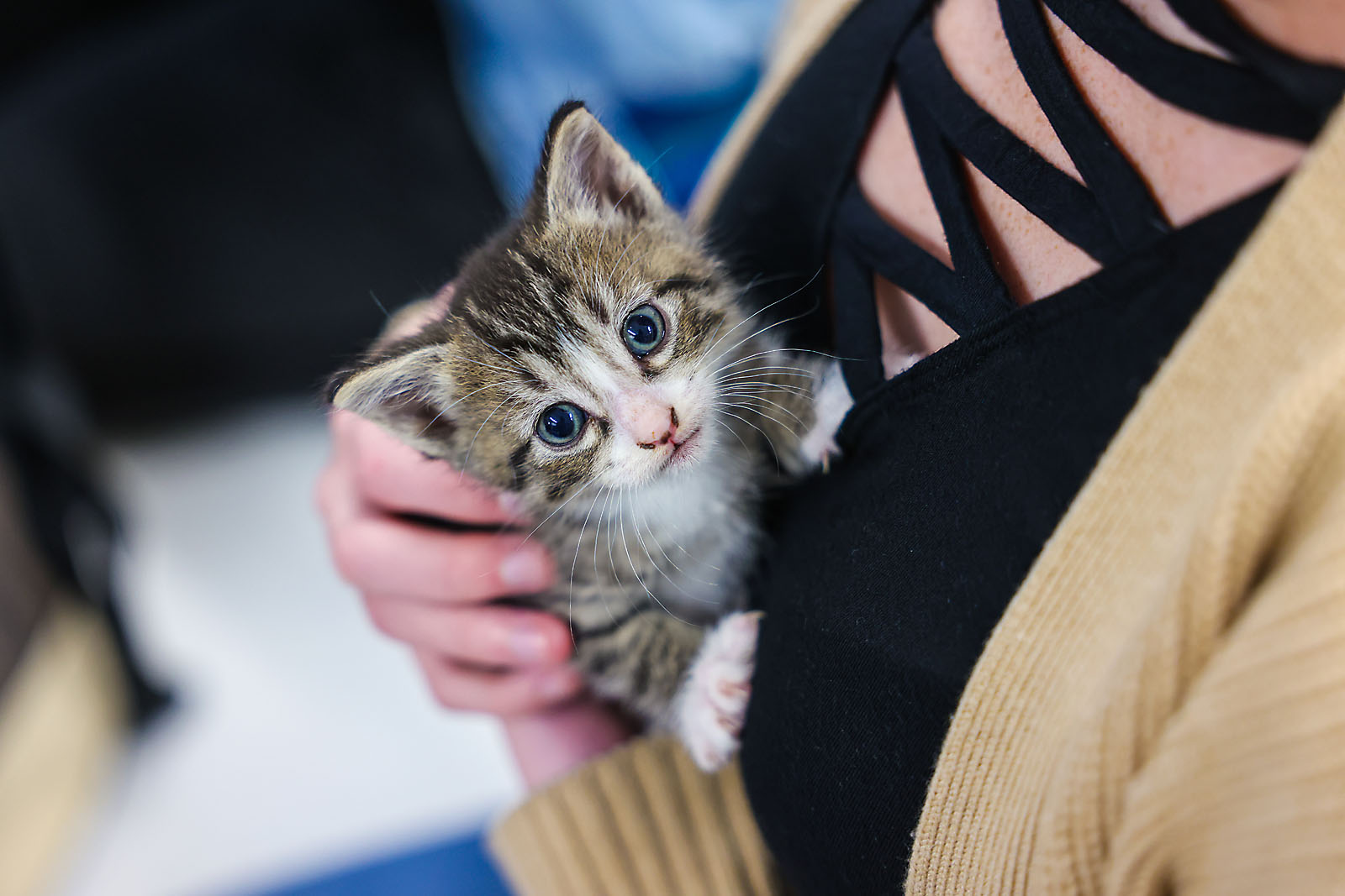 red deer polytechnic commercial photographer sergei belski photo