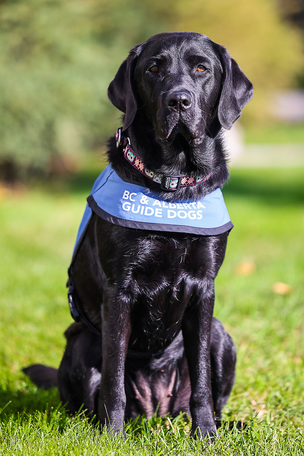 airdrie editorial portrait photographer sergei belski photo
