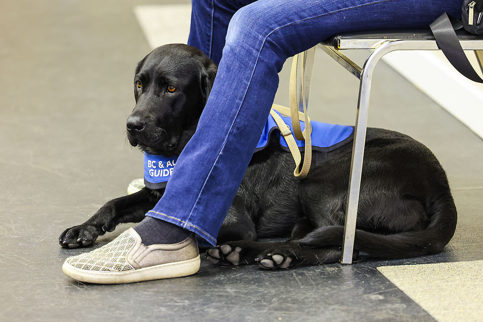 airdrie editorial portrait photographer sergei belski photo