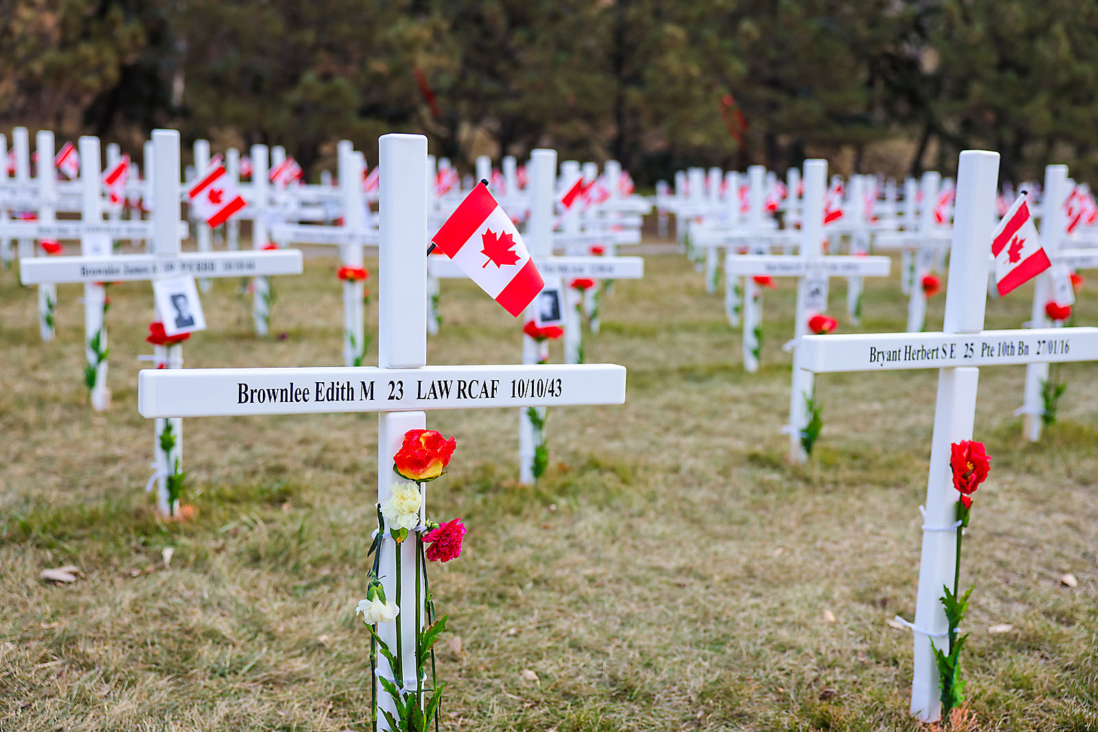 STMU calgary event photographer sergei belski photo
