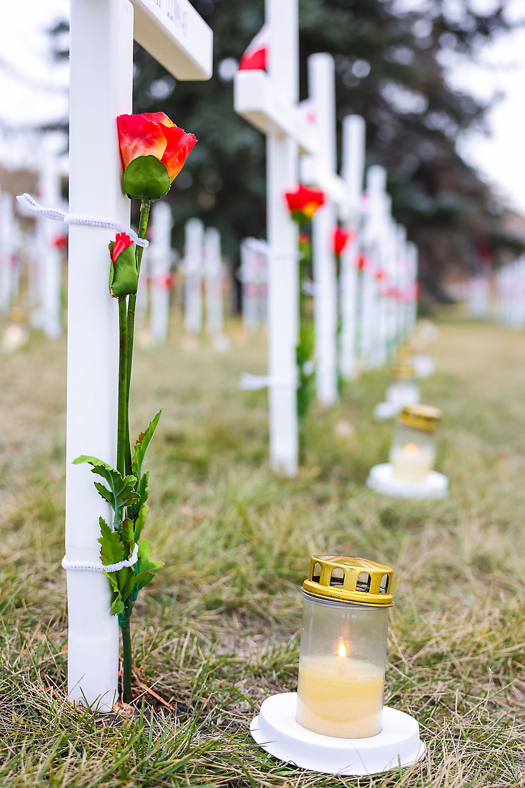 STMU calgary event photographer sergei belski photo