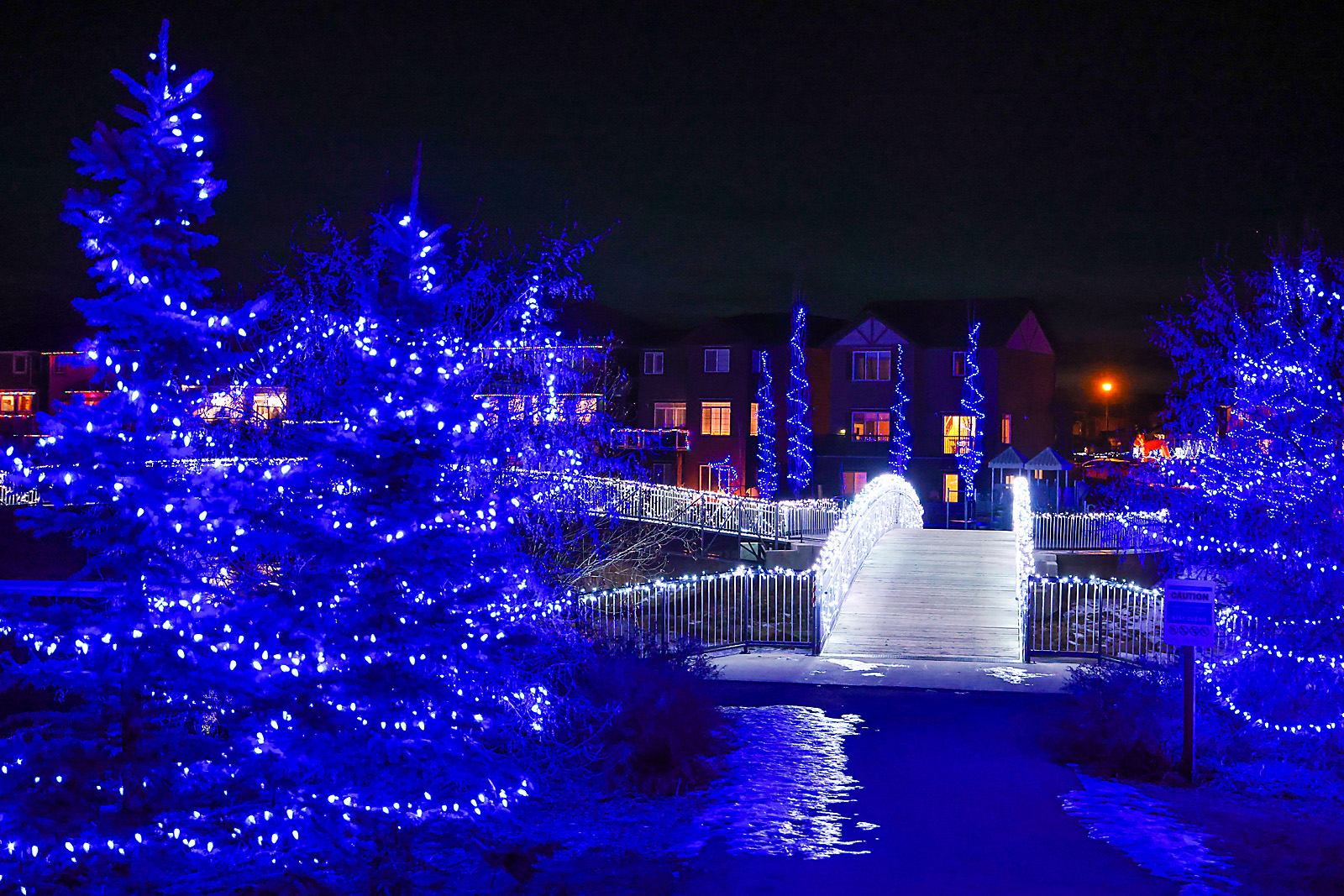 christmas home sergei belski photo
