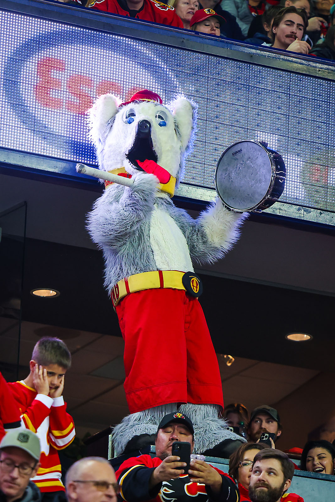 nhl hockey Calgary Flames sports photographer sergei belski photo